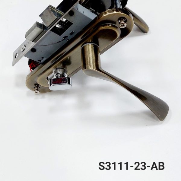 Զաշոլկաբանալի S311123Ab  Փոքր